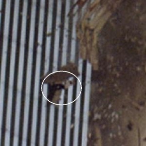 Closeup of man attached to WTC as it freefalls